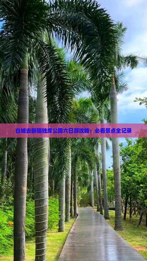 白城去新疆独库公路六日游