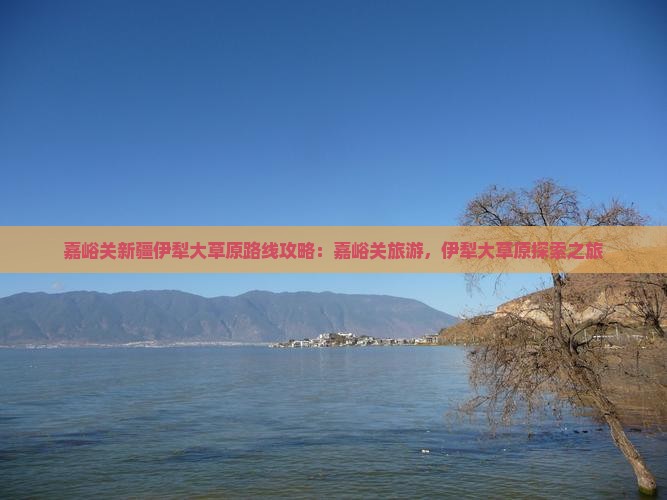 嘉峪关去新疆伊犁大草原五日游