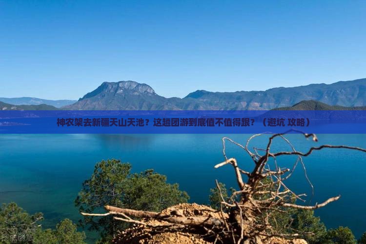神农架去新疆天山天池团体旅游