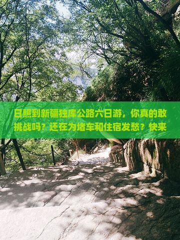 日照到新疆独库公路六日游
