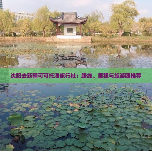 沈阳去新疆可可托海旅行社