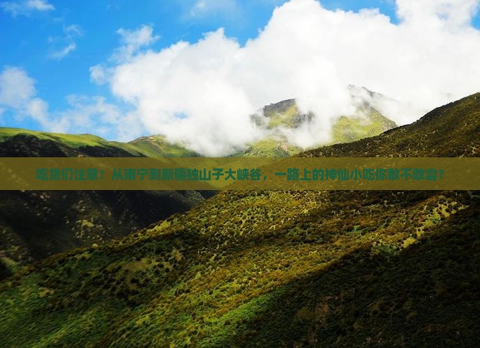 南宁到新疆独山子大峡谷旅游小吃