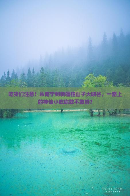 南宁到新疆独山子大峡谷旅游小吃