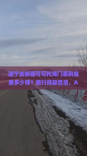 遂宁去新疆可可托海门票