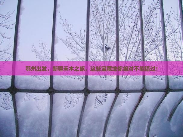 鄂州去新疆禾木哪里玩