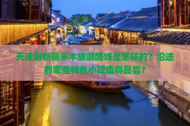 天津到新疆禾木旅游小吃