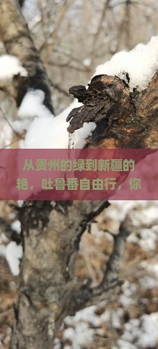 黔东南去新疆吐鲁番自由行