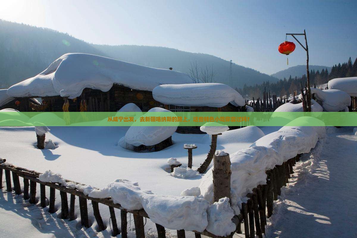 咸宁去新疆喀纳斯旅游小吃