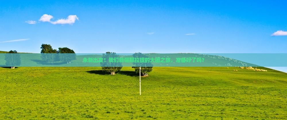 永新去新疆那拉提大型旅游团