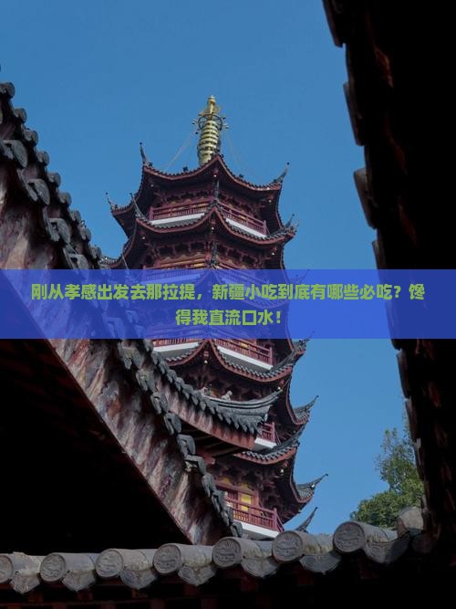 孝感到新疆那拉提旅游小吃