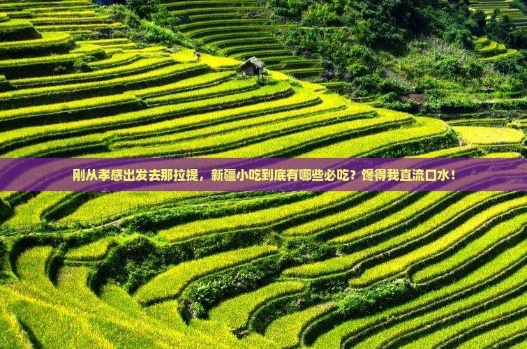 孝感到新疆那拉提旅游小吃