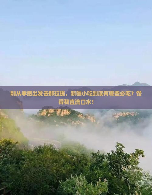 孝感到新疆那拉提旅游小吃