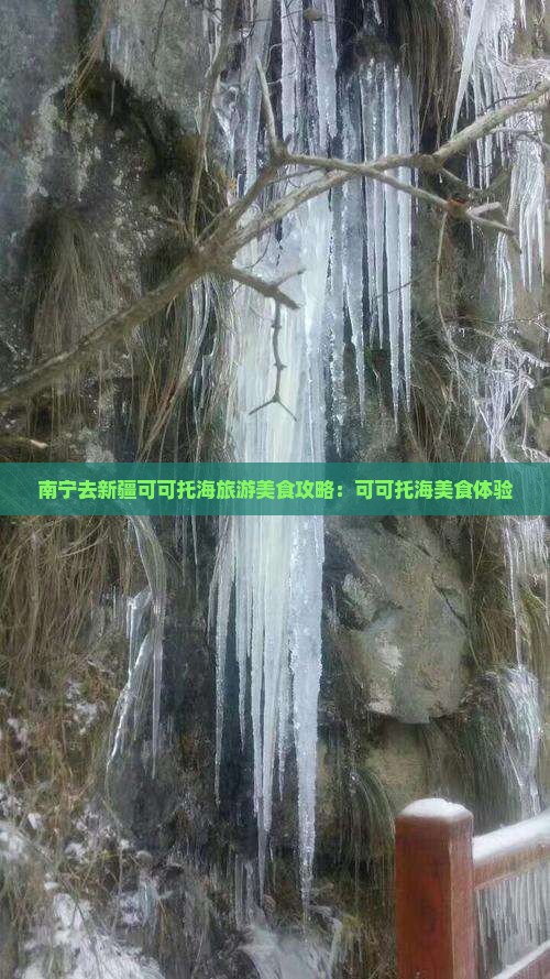 南宁去新疆可可托海旅游小吃