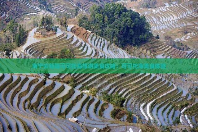 南宁去新疆可可托海旅游小吃