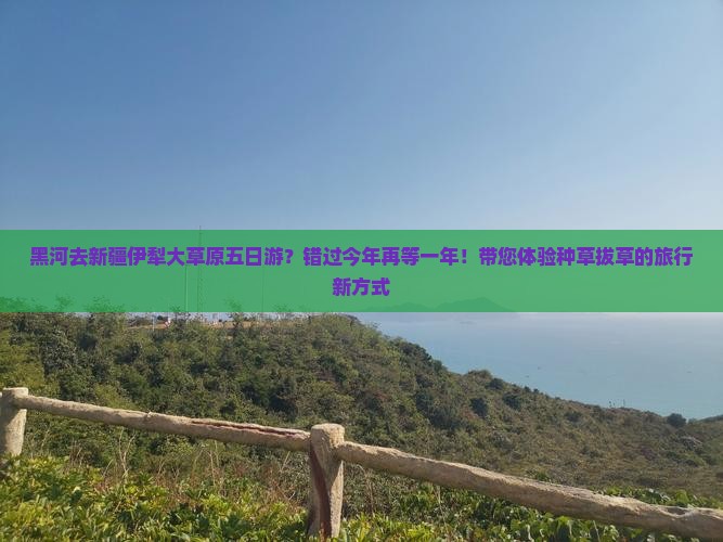 黑河去新疆伊犁大草原五日游