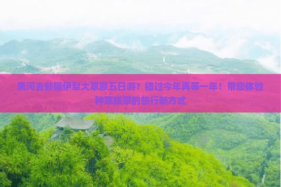 黑河去新疆伊犁大草原五日游