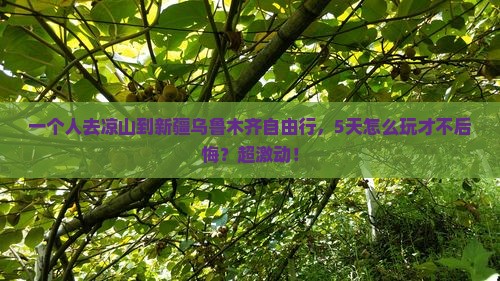 凉山到新疆乌鲁木齐自由行