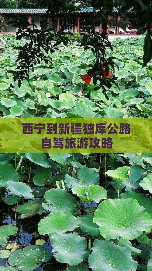西宁到新疆独库公路哪里玩