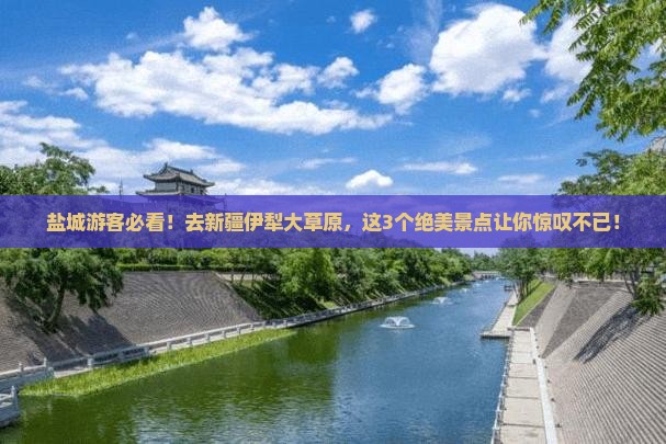盐城去新疆伊犁大草原景点