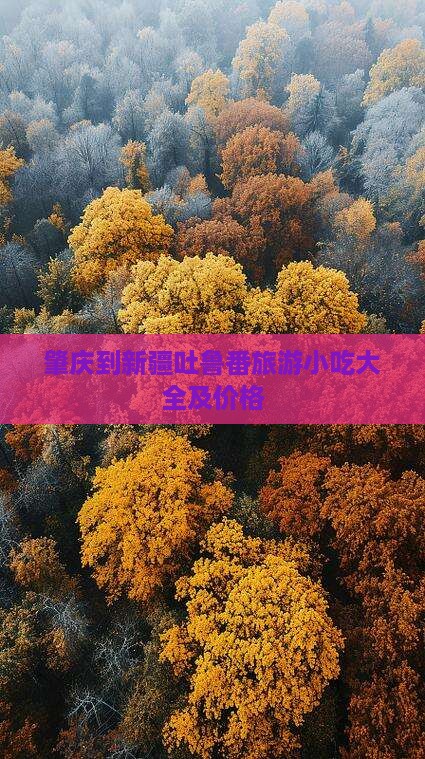 肇庆到新疆吐鲁番旅游小吃