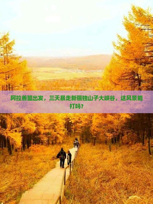 阿拉善盟去新疆独山子大峡谷三日游