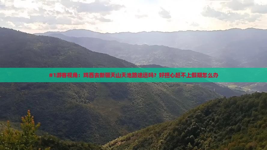鸡西到新疆天山天池旅游