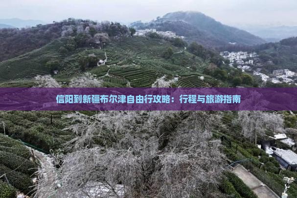 信阳到新疆布尔津自由行