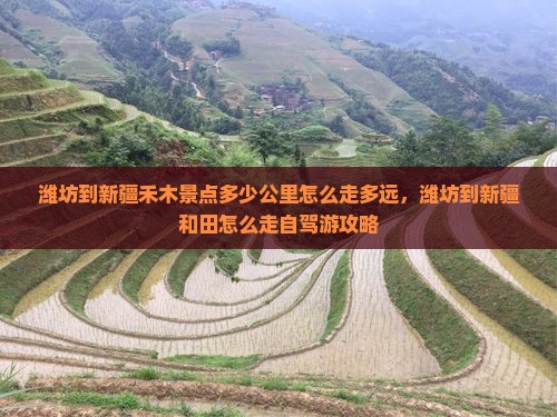 潍坊到新疆禾木景点