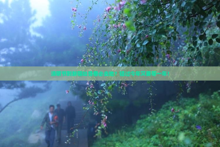 清明节到新疆吐鲁番必去地
