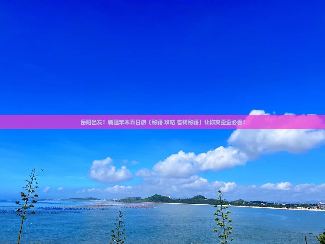 岳阳去新疆禾木五日游