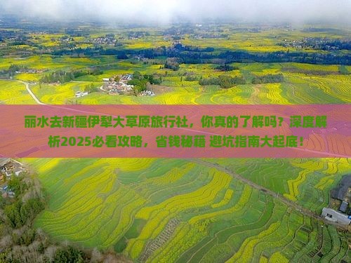 丽水去新疆伊犁大草原旅行社
