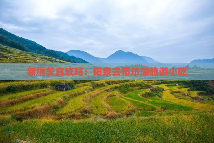 阳泉去新疆布尔津旅游小吃