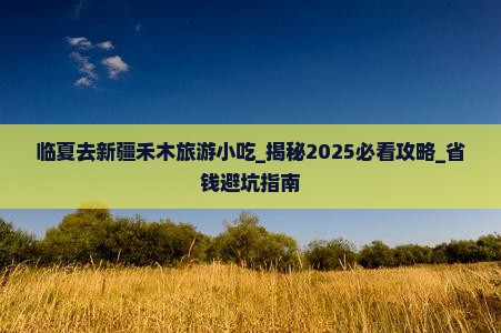临夏去新疆禾木旅游小吃