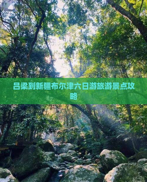 吕梁到新疆布尔津六日游