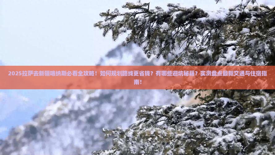 拉萨去新疆喀纳斯攻略