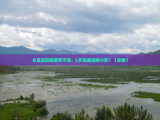 宜昌去新疆布尔津旅游小吃
