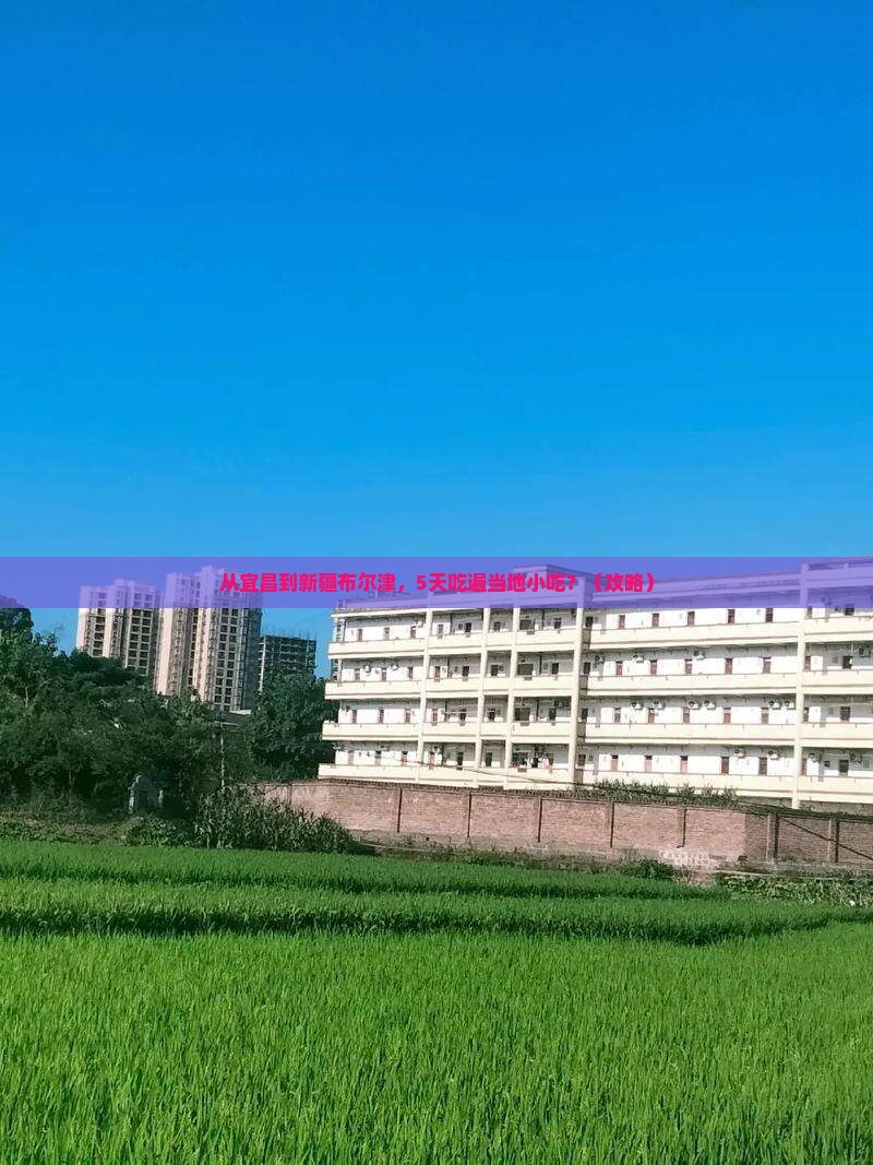 宜昌去新疆布尔津旅游小吃