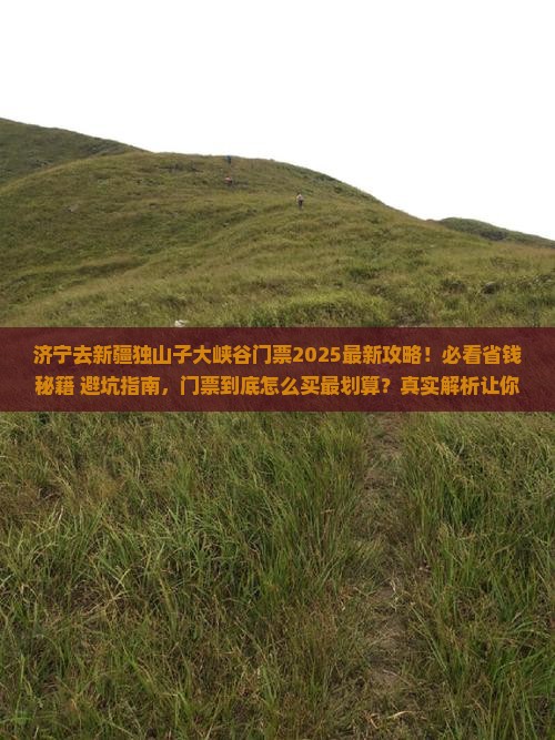 济宁去新疆独山子大峡谷门票