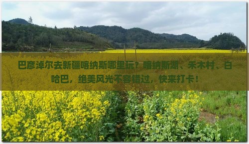 巴彦淖尔去新疆喀纳斯哪里玩