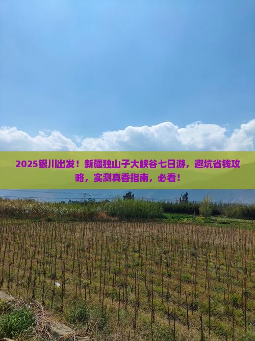 银川去新疆独山子大峡谷七日游