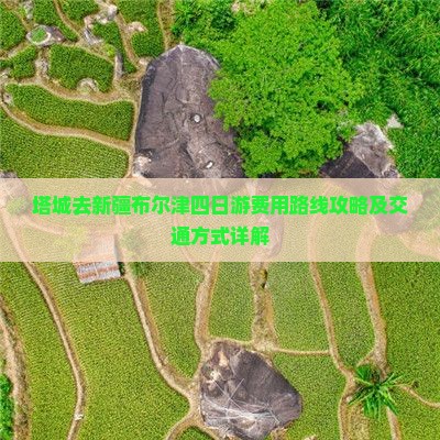 塔城去新疆布尔津四日游