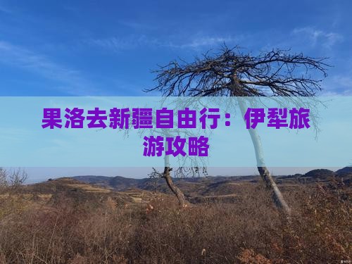 果洛去新疆自由行