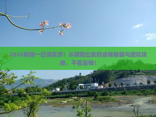 朝阳到新疆一日
