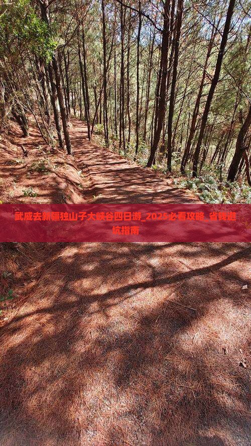 武威去新疆独山子大峡谷四日游