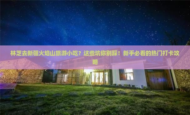 林芝去新疆火焰山旅游小吃