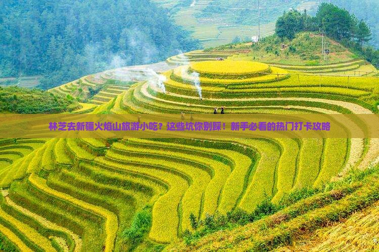 林芝去新疆火焰山旅游小吃