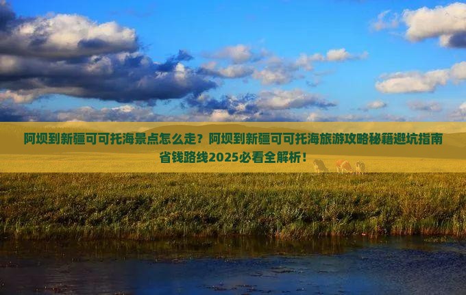 阿坝到新疆可可托海景点