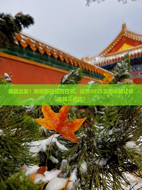 临夏到新疆那拉提四日游