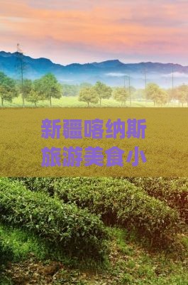 夏天去新疆喀纳斯旅游小吃