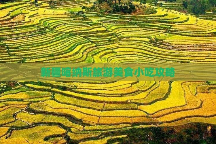 夏天去新疆喀纳斯旅游小吃
